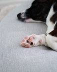 LEMPI coussin de sol | pierre