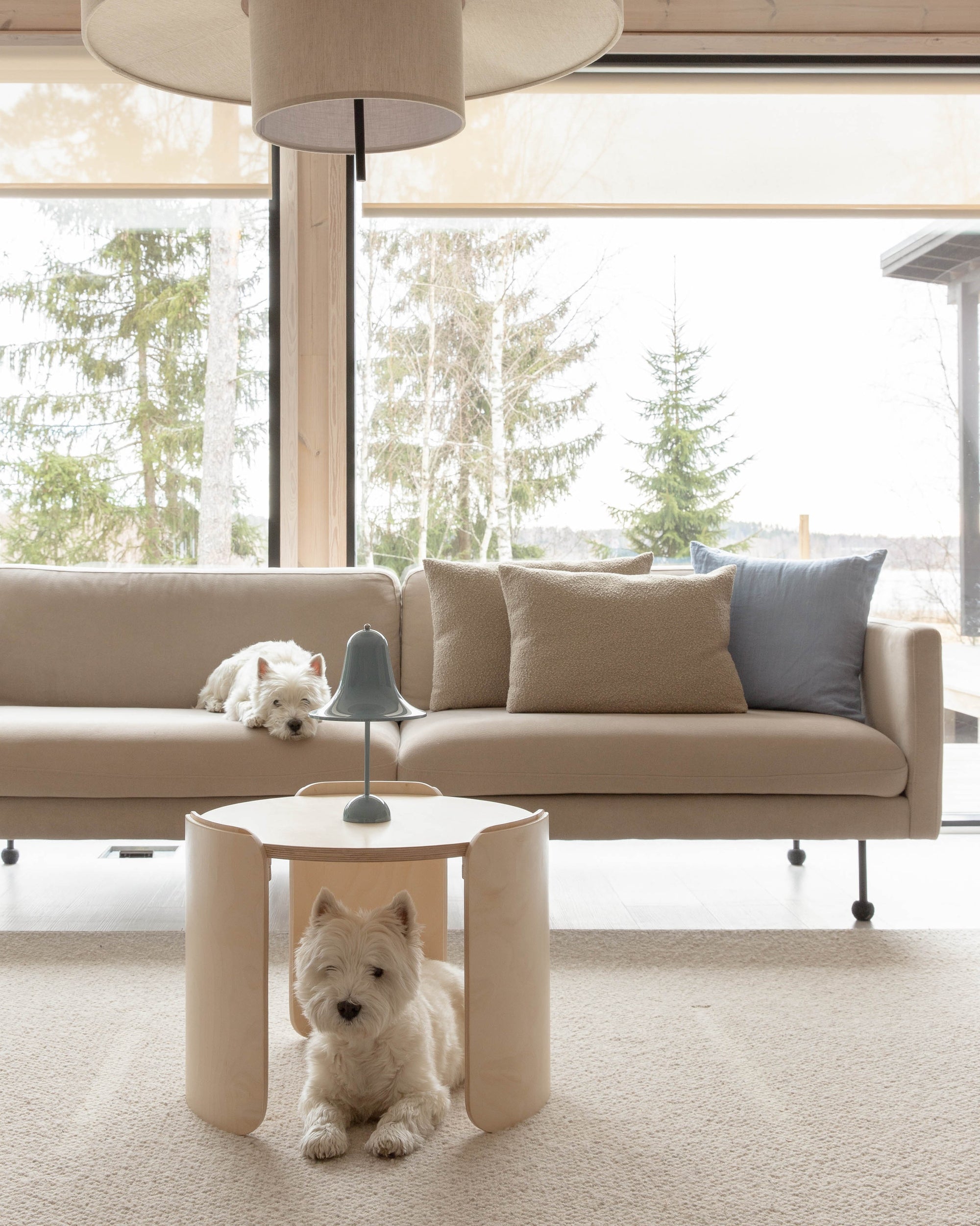 UOMA table modulaire | bouleau