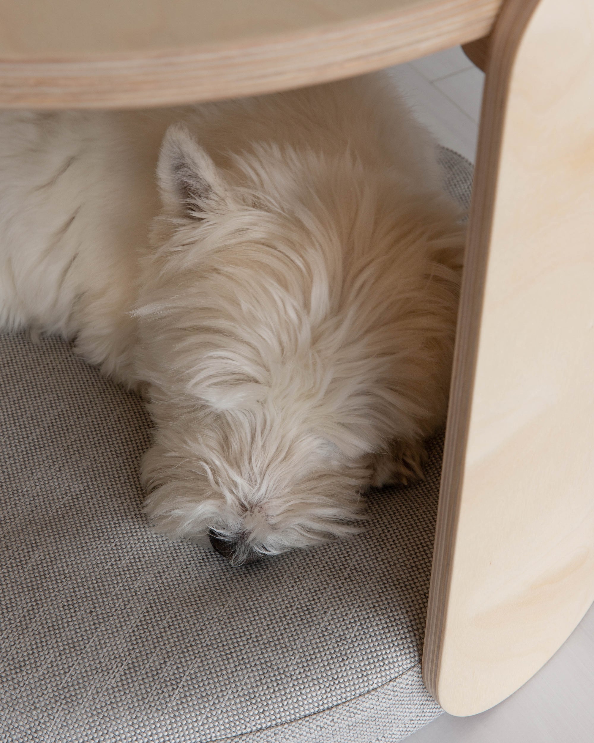 USVA coussin | pierre